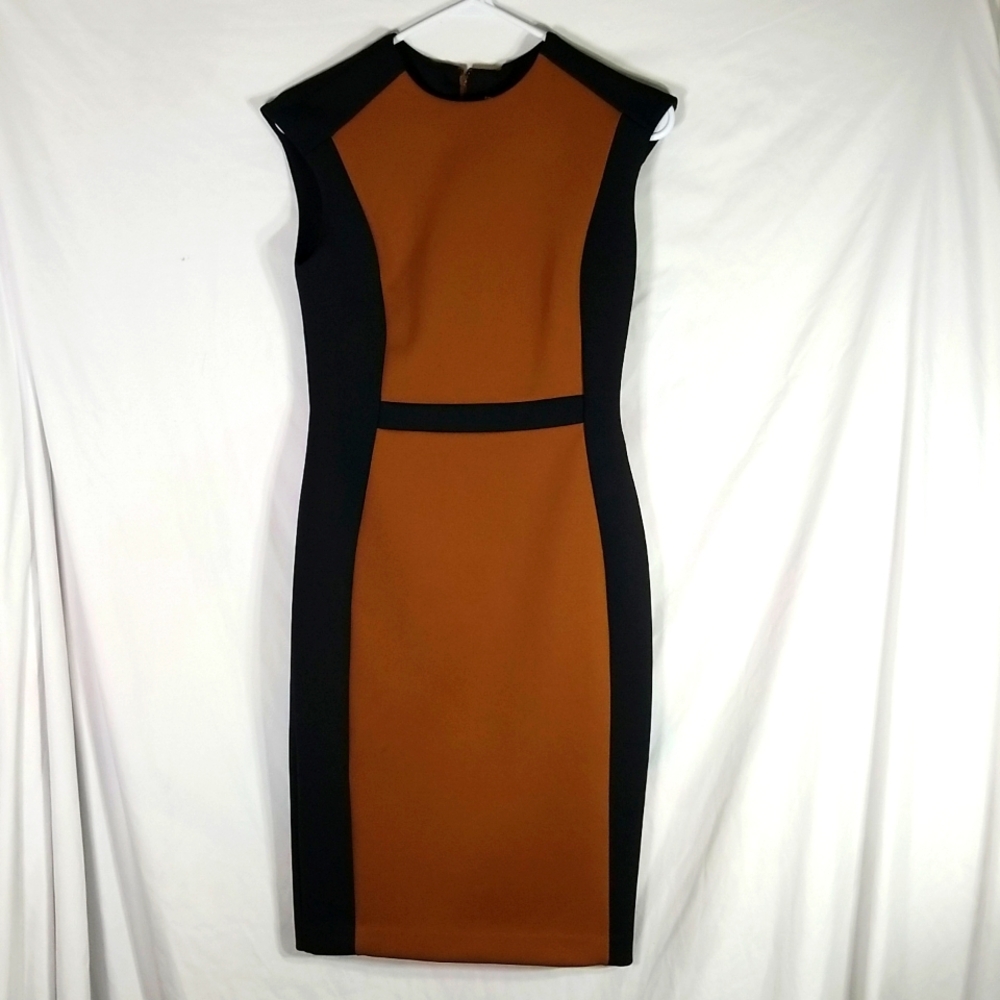 Calvin Klein Women's Colorbloack Sheath Dress BROWN/Black  size 4